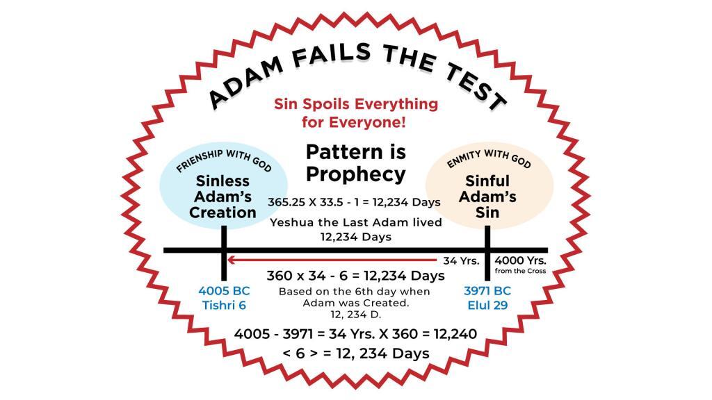 Chart - Adam Fails