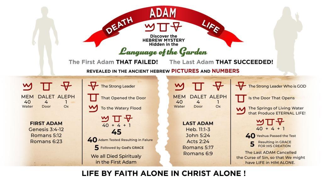 Chart - Death Adam Life