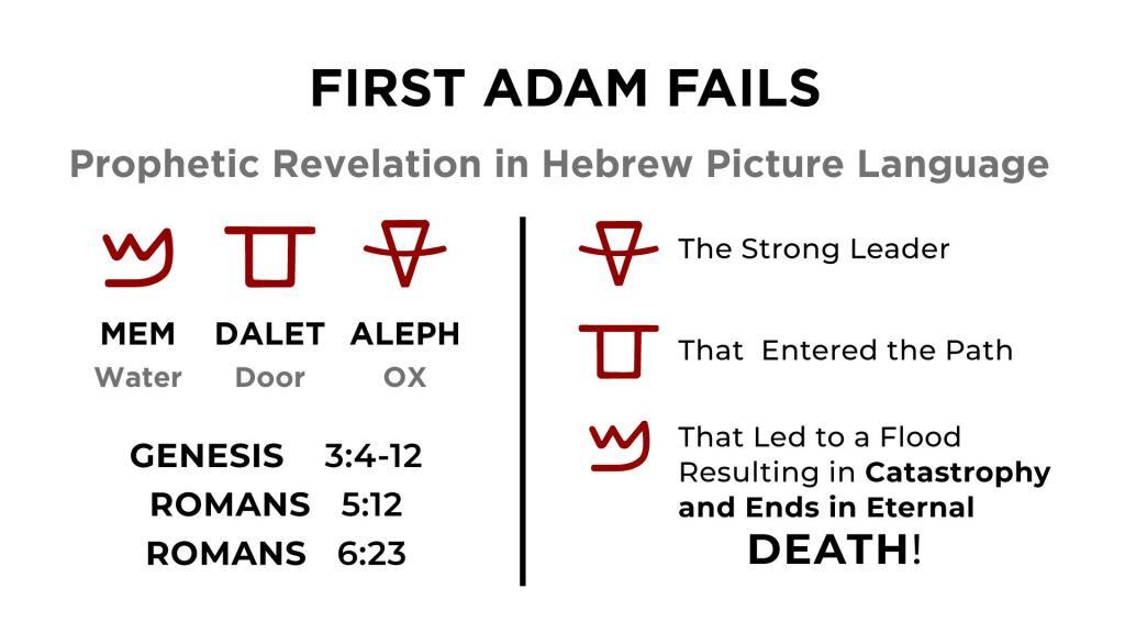 Chart - First And Last Adam