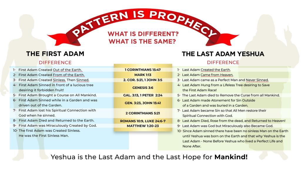 Chart - Pattern Is Prophecy