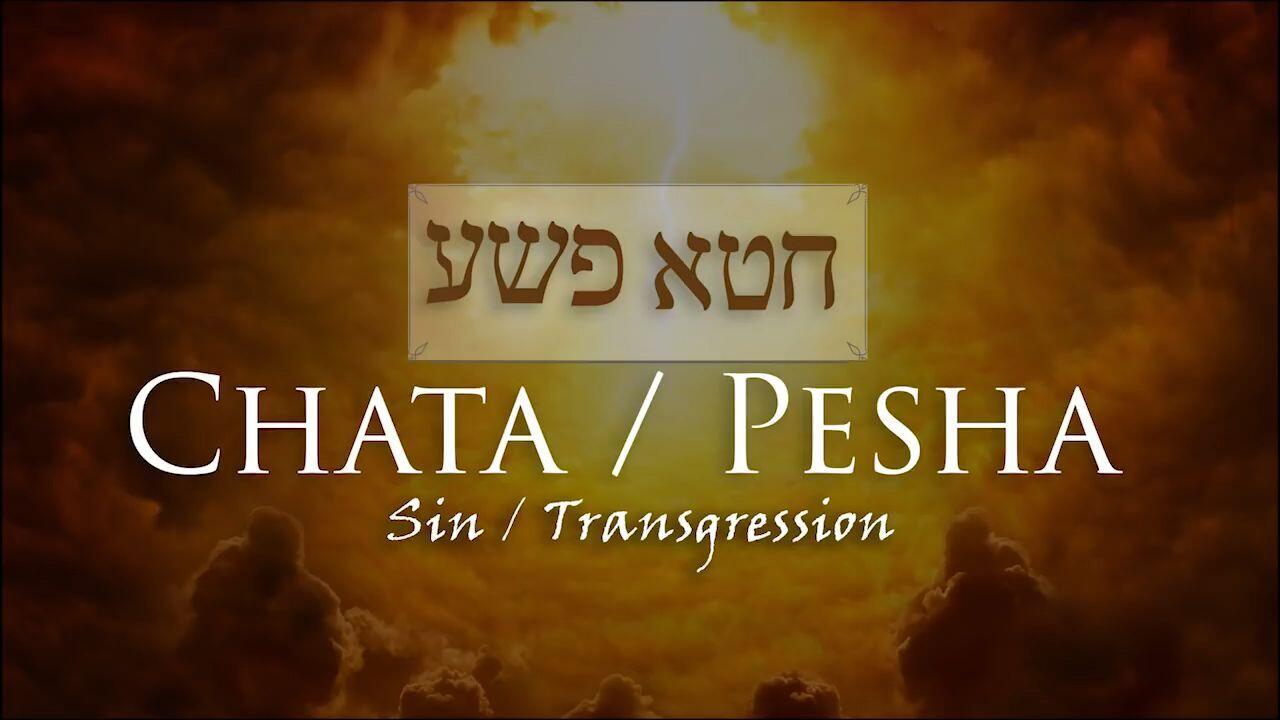 Hebrew Study - Chata and Pesha - Sin