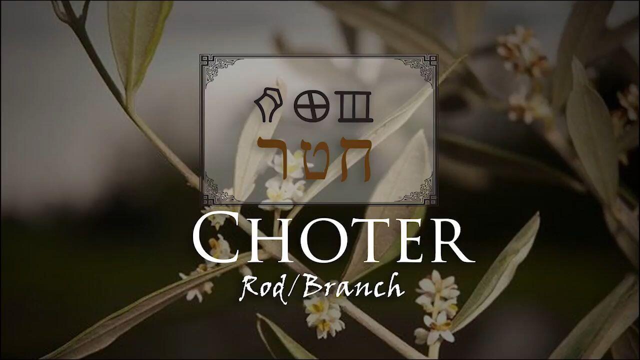 Hebrew Study - Choter and Netzer - The Rod & Branch of Jesse