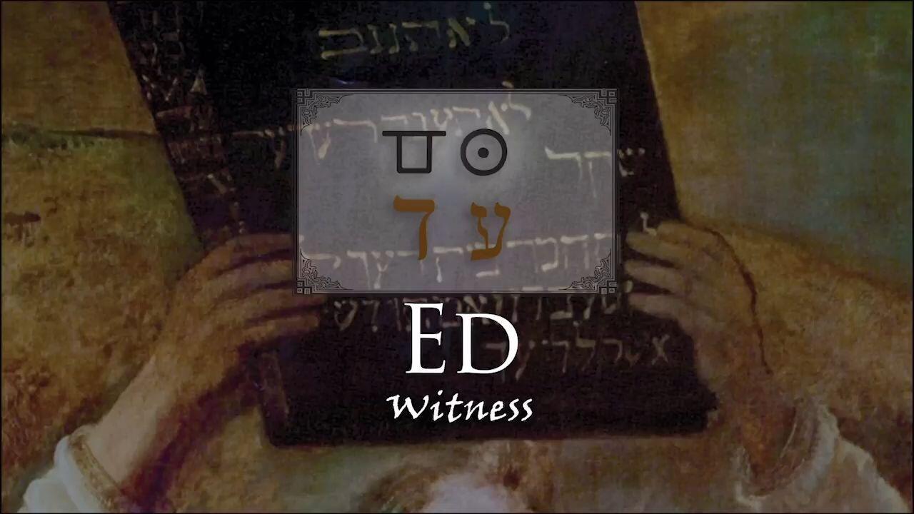 Hebrew Study - Ed - Witness