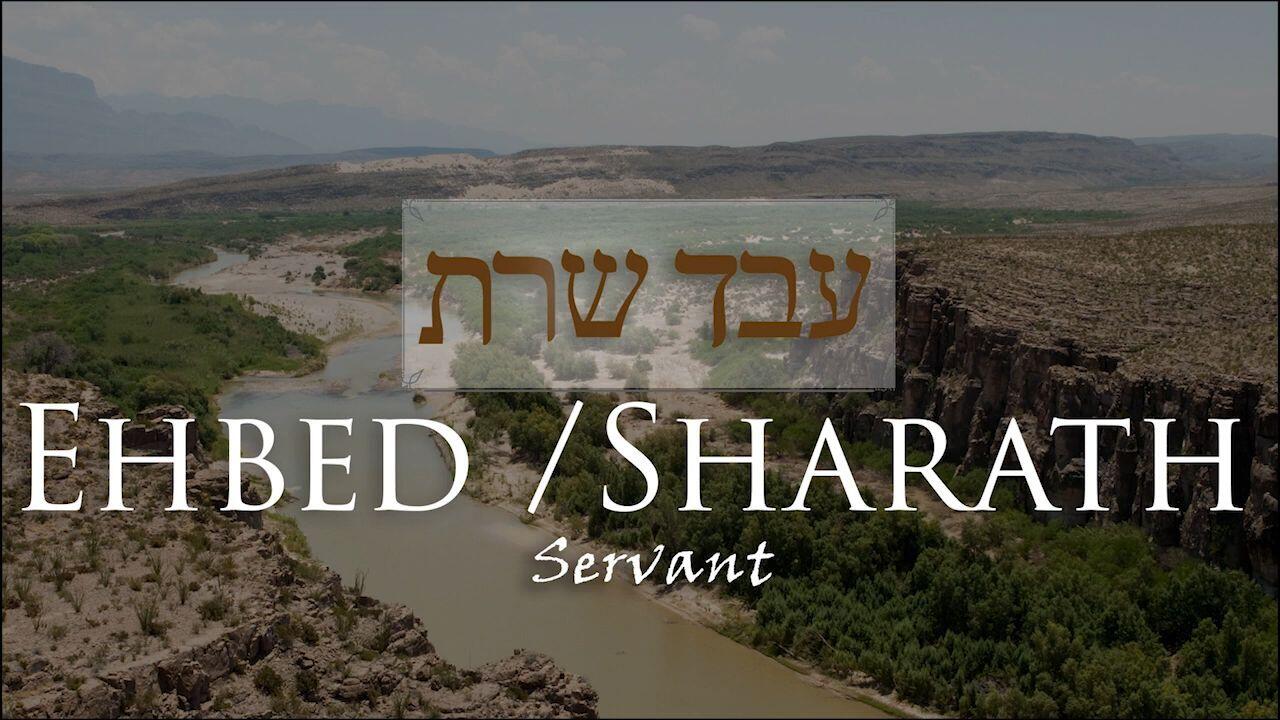 Hebrew Study - Ehbed and Sharath - Servant