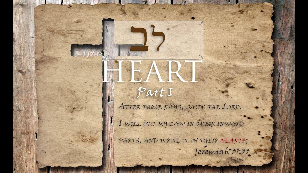 Hebrew Study - Heart - Part 1