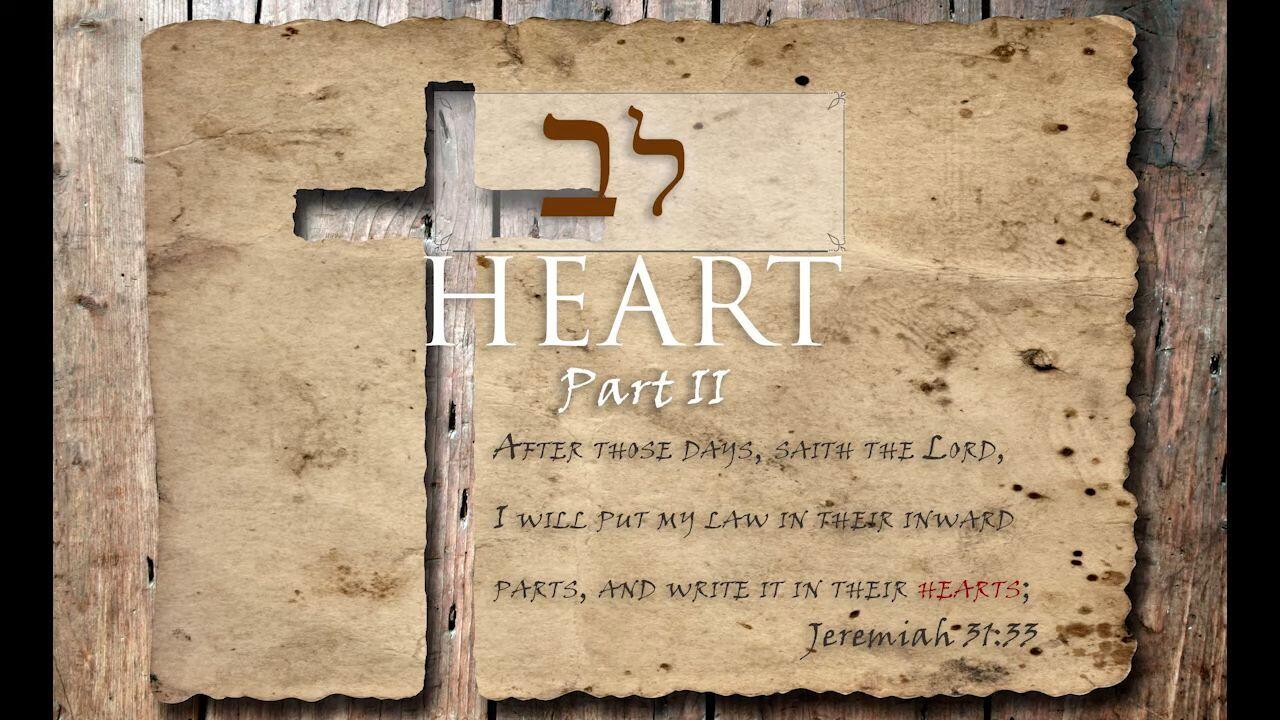 Hebrew Study - Heart - Part 2