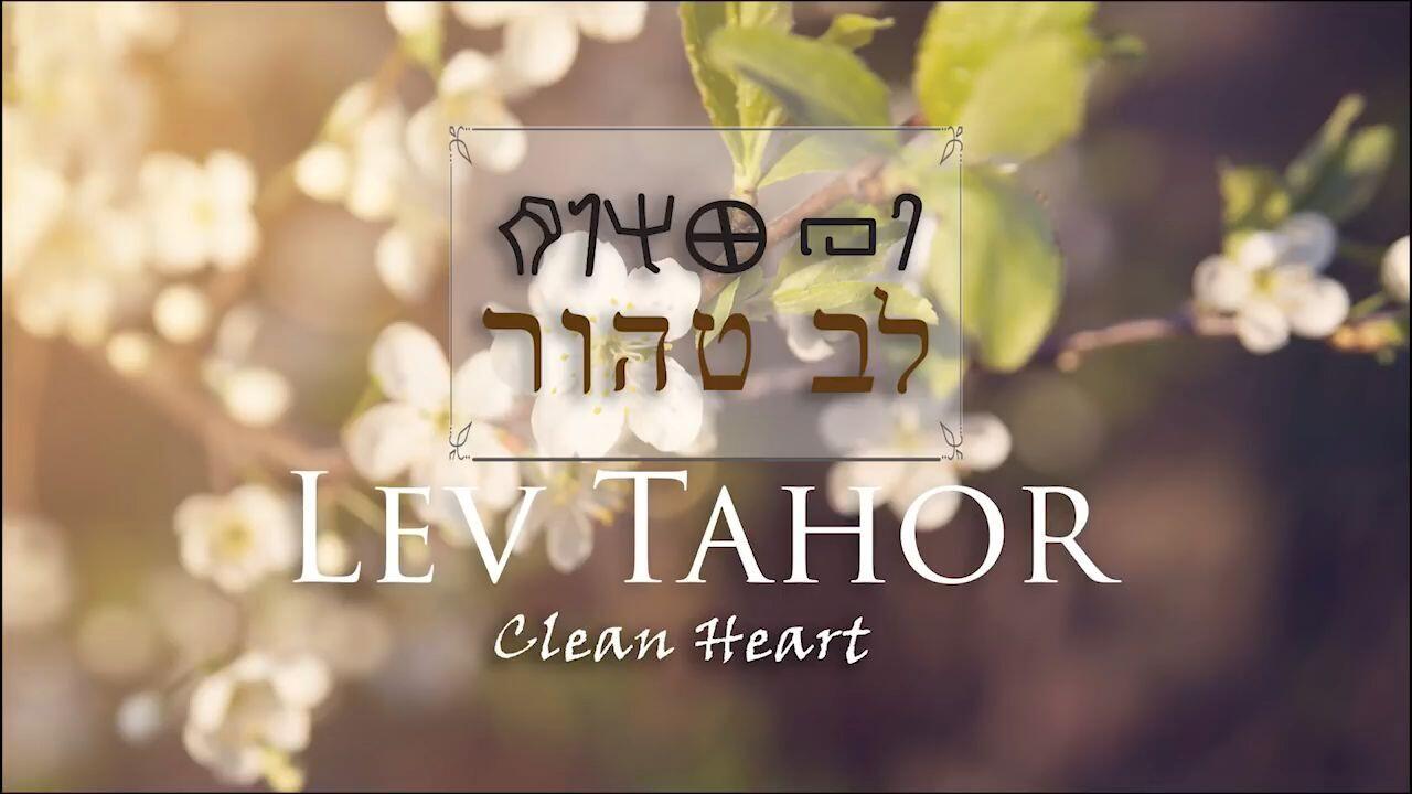 Hebrew Study - Lev Tahor - Clean Heart