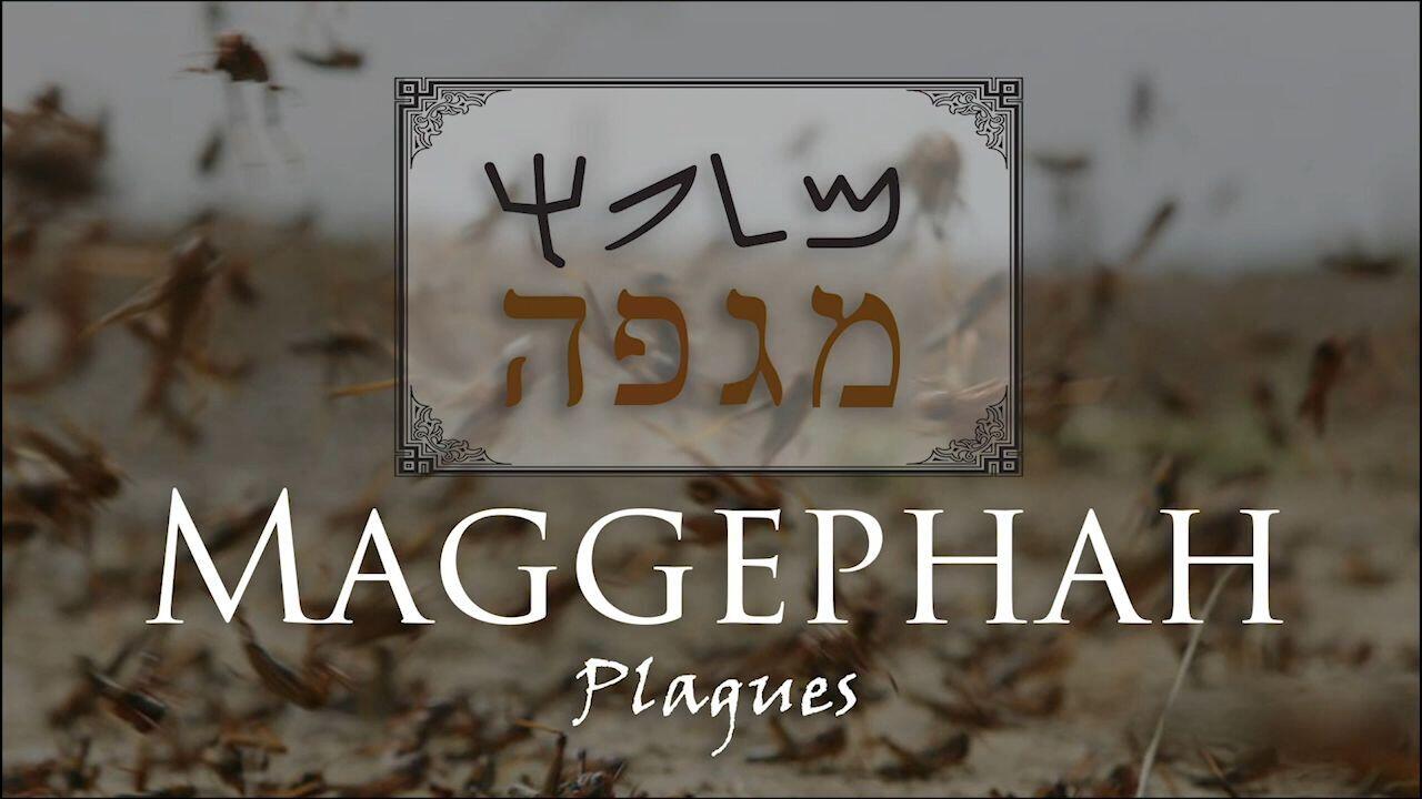 Hebrew Study - Maggephah - The Plague from God