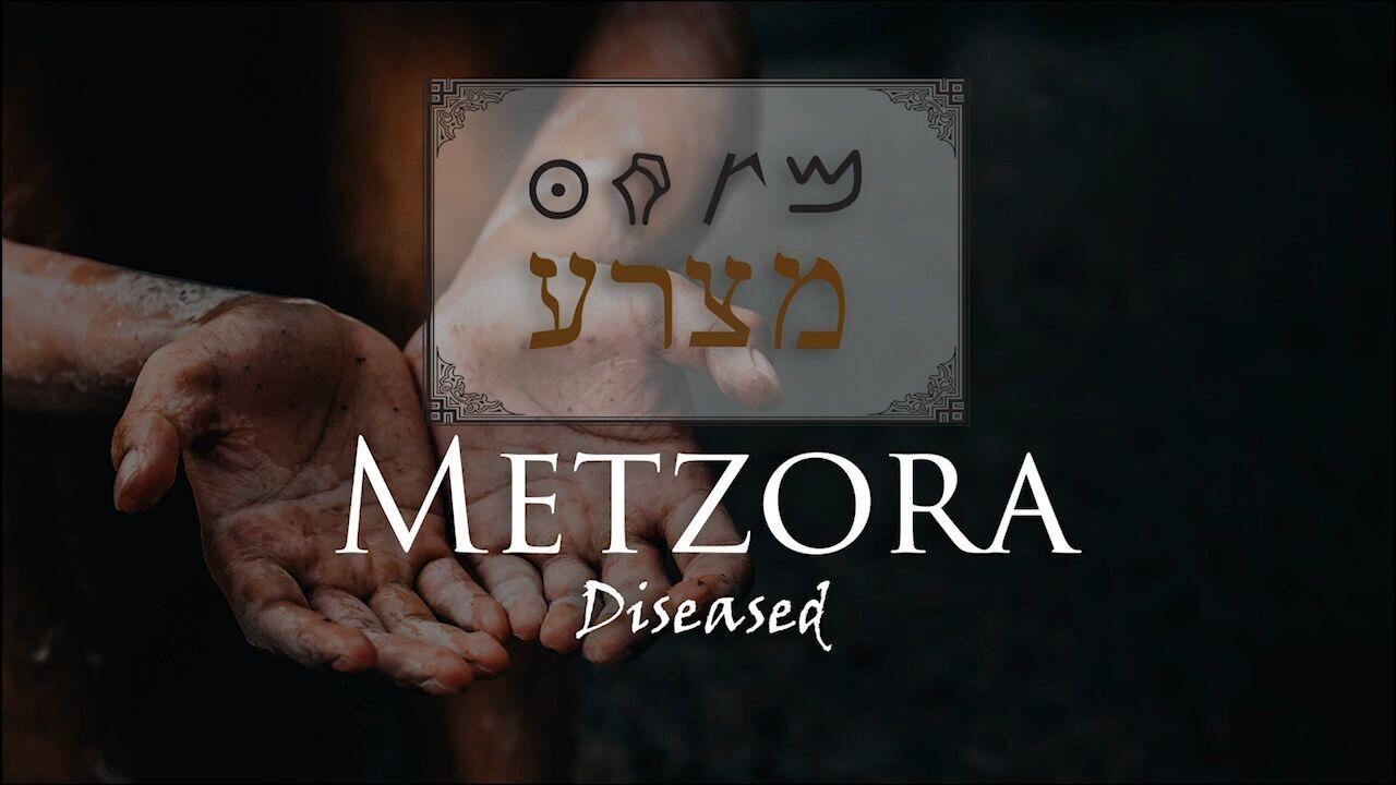 Hebrew Study - Metzora - Diseased