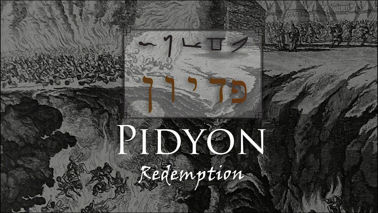 Hebrew Study - Pidyon - Redemption