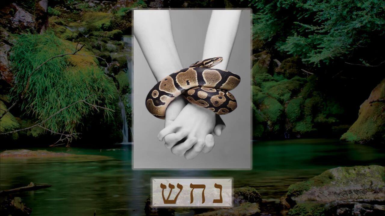 Hebrew Study - Serpent - Part 1