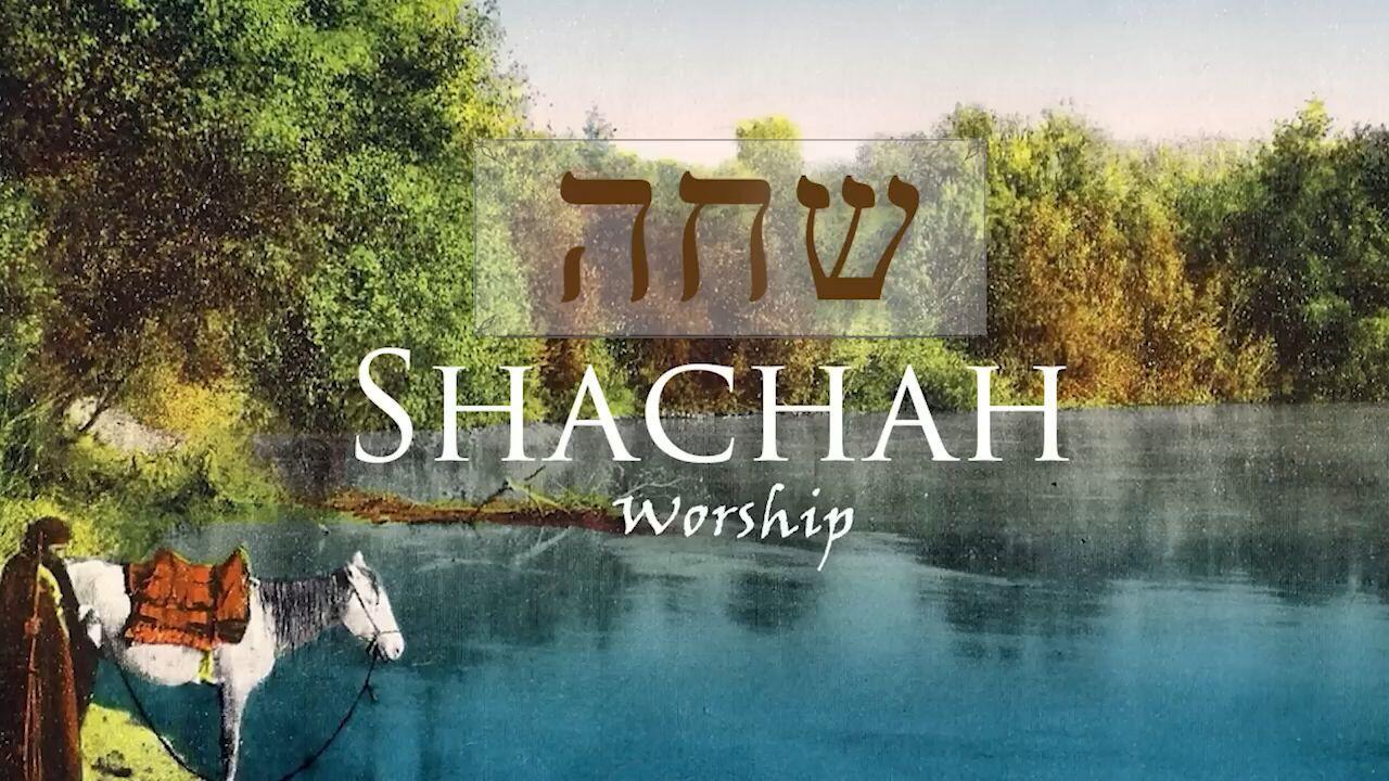 Hebrew Study - Shachah - Worship