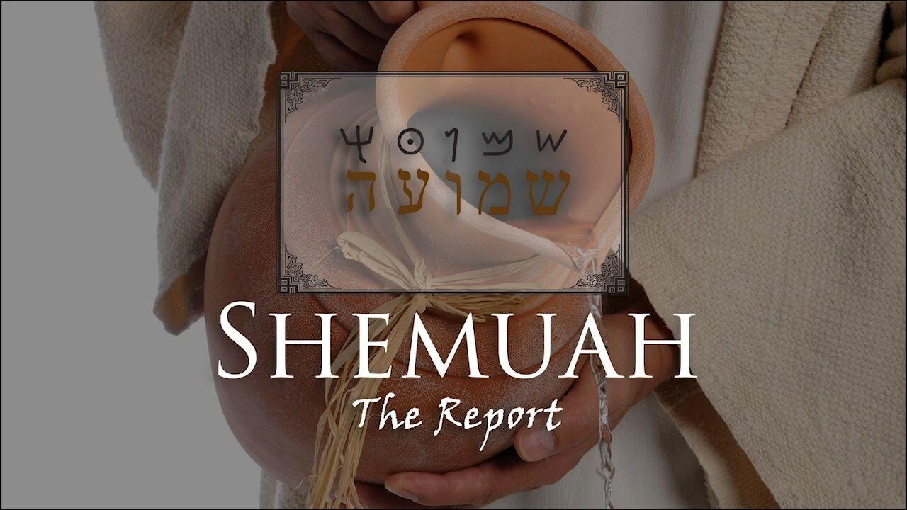 Hebrew Study - Shemuah - The Report