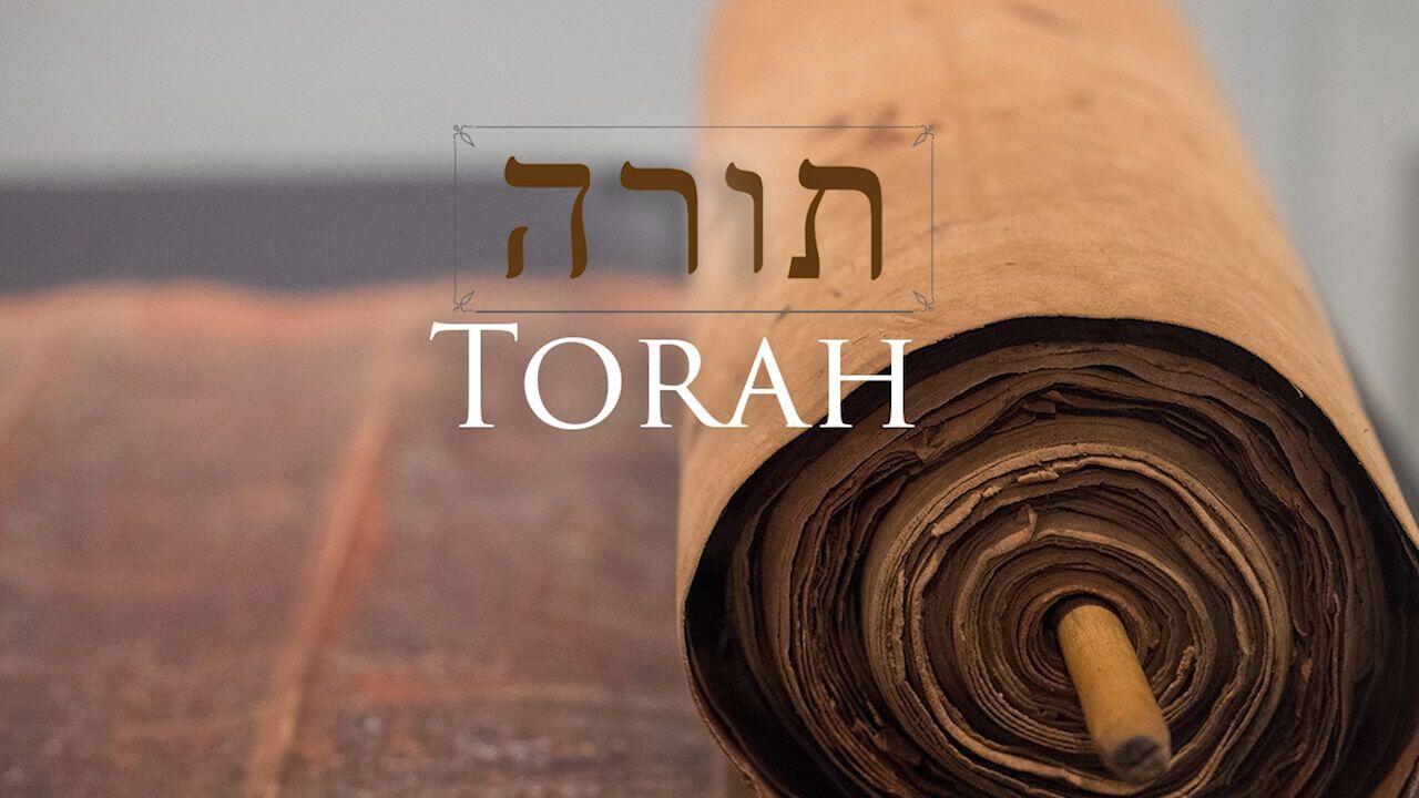 Hebrew Study - Torah