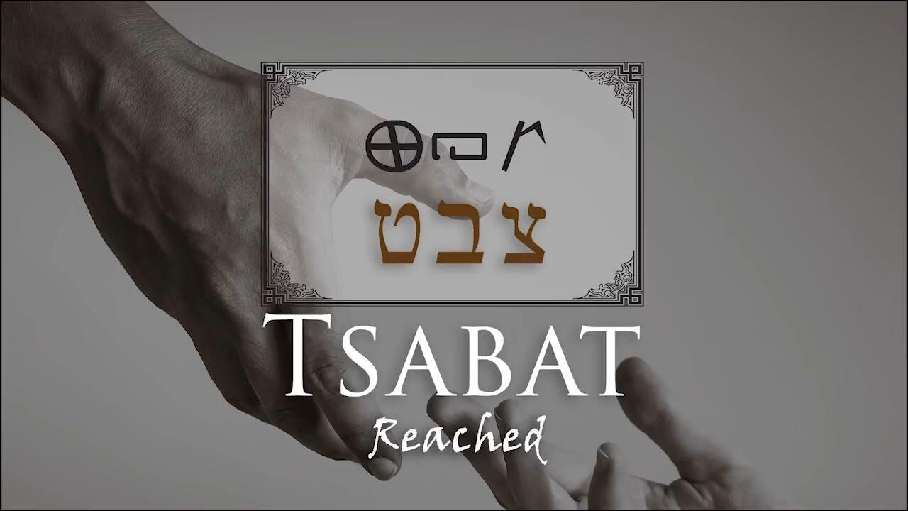 Hebrew Study - Tsabat - The Rarest of Hebrew Words