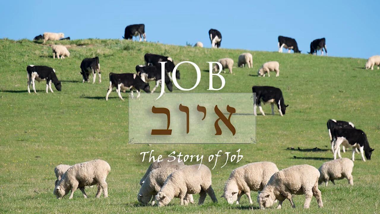 The Story of Job - Part 1